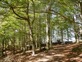 Arlamendiko mintegia