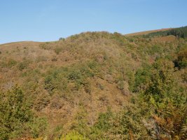 Arlamendiko mintegia hegoaldetik ikusita