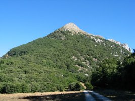 Iltzarbe aldeko bidetik ikusita