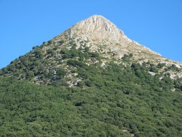 Iltzarbe aldetik ikusita itxura polita du.