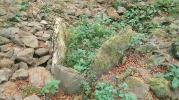 Agerreburu trikuharria