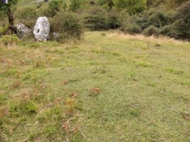 PLAZEGI II campo tumular