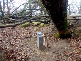 Dólmen Bistarri (Foto I. Gaztelu)  Noviembre 2020