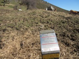 Dólmen Añoenea Soroa (Marzo 2014)