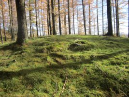 Túmulo Biribilleta  (Noviembre 2016)