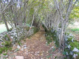 Urritzez estalitako pasabidea