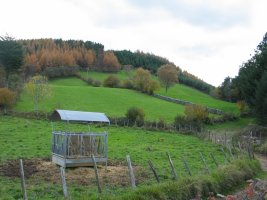 Illaun Loistizabalgo lepotik