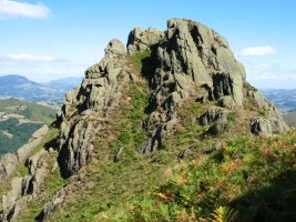 Hartxahaleko gandorra: hauxe da haitz nabarmenena