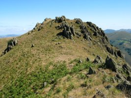 Tontorra baino Iparralderago dagoen beste muino bat