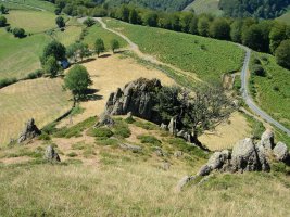 Ireiko lepoa Iramendi aldetik