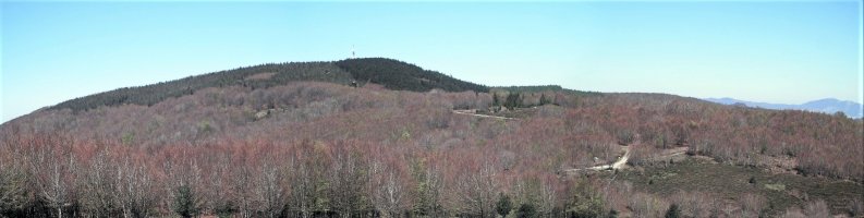 Illarragorri / Irumuga