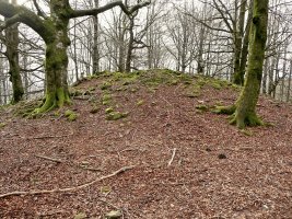 balankaleku Ipar Trikuharria