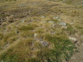 cantal de la balsera