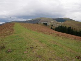 Gongeda eta Zamaia iparraldeko hegitik ikusita