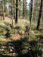 Illargaina (640m) tontorra