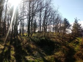 Gorordo (692m) gainaldea