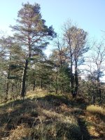 Illargaina (640m) gainaldea