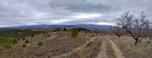 Ioiar, hodeien artean