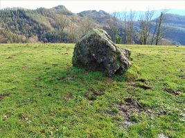 Larrarte Trikuharria