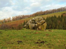 Larrarte Trikuharria