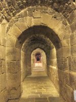 Leire monastegia, Esa