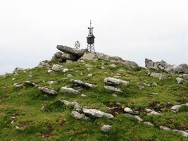 Txorrotxeta tontorra