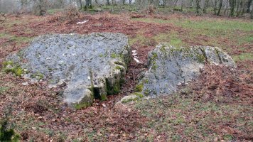 Uraska I zutarria, Entzia