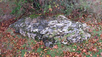 Uraska II zutarria, Entzia