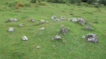 Larrazabal VII harrespila, Entzia