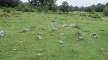 Larrazabal VII harrespila, Entzia