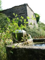 Iturria San Migel baselizaren ondoan