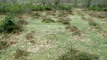 Larrazabal XIII tumulua, Entzia