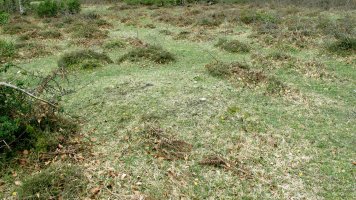 Larrazabal XIII tumulua, Entzia