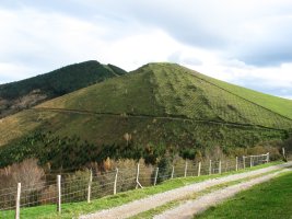 Besabi aldeko bidetik