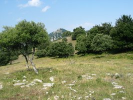 Gandorreko ikuspegi bat