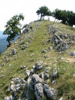 Tontorra mendebaldetik