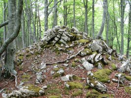 Inguruko muino harritsua, buzoi eta guzti