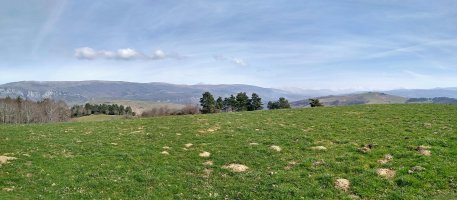 Arano gaineko gailurra