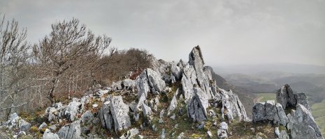 Martxateko gandor ederrak