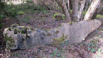 Peña Caída zutarria, Entzia