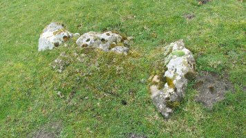 Larrazabal 3 trikuharria, Entzia