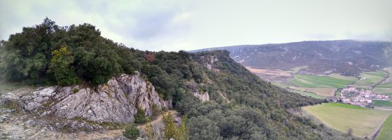 Ulibartiako harratea