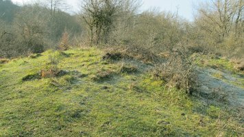 Berjalaran norte trikuharria, Donemiliaga