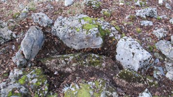 Berjalaran 3 erdi trikuharria, Donemiliaga