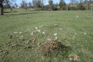 Túmulo II Campo T. Legaire Norte  (Octubre 2020)