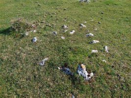 Lagaire Norte Eremu Tumularra