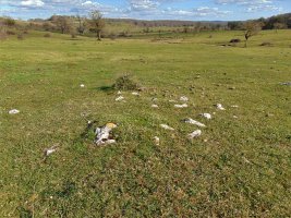 Lagaire Norte Eremu Tumularra