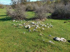 Legaire Bidea Tumulua