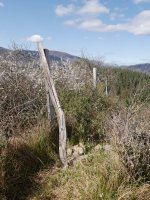 Mugarrigaña edo Mallaburu tontorra