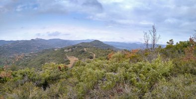 Capaburros, Beltranlarratzetik